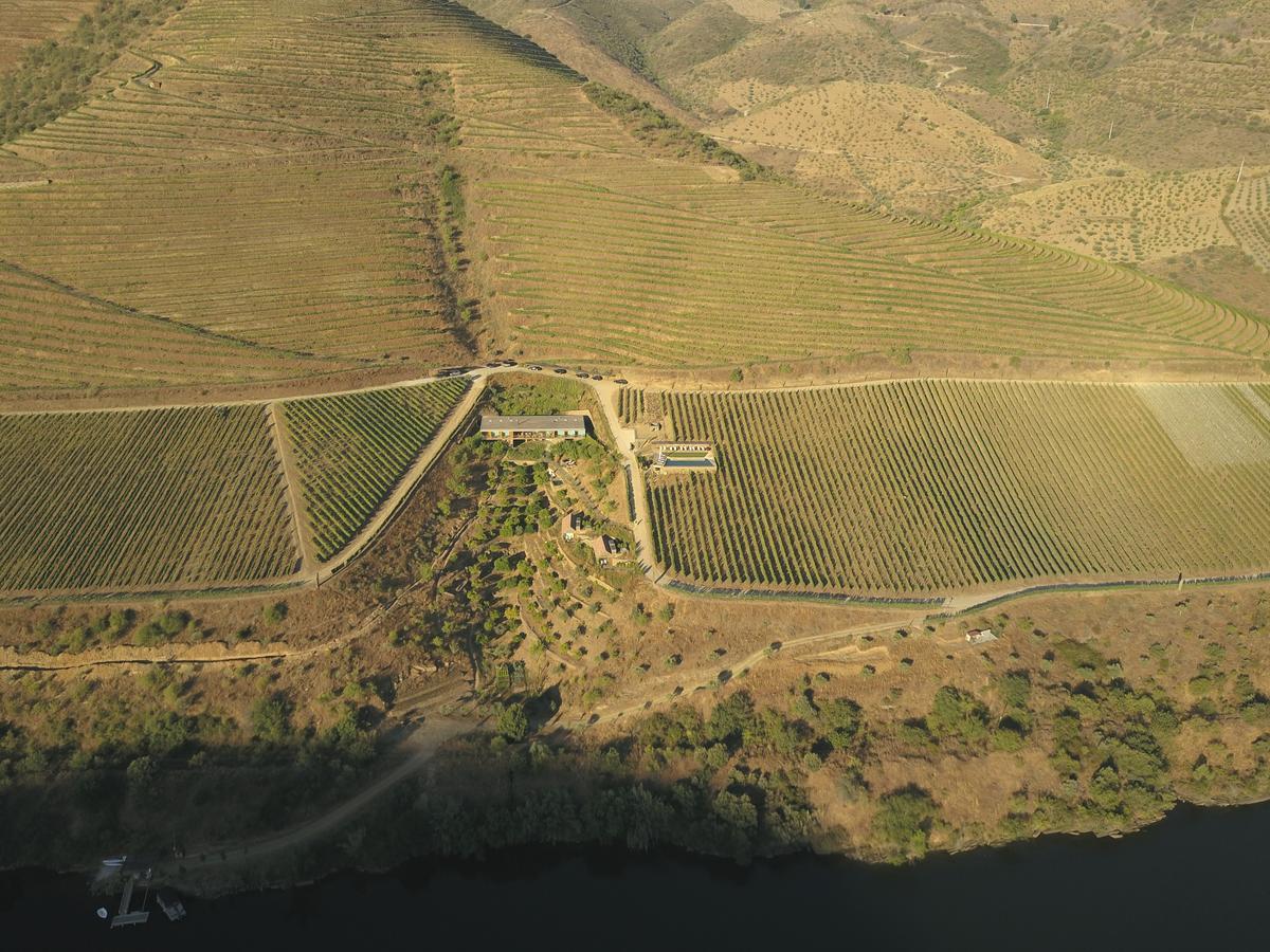 Casa Do Rio - Douro Wine Hotel By Vallado Vila Nova de Fozcoa Dış mekan fotoğraf
